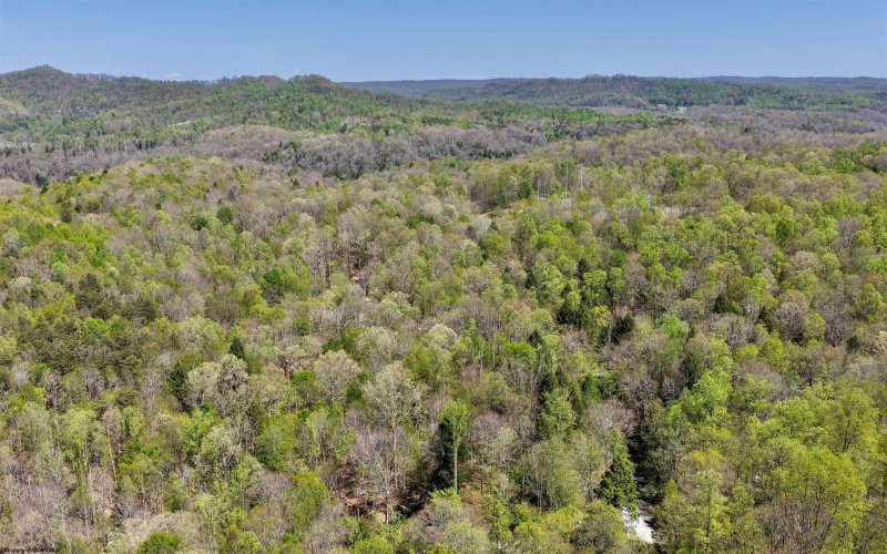 280 Peregrine Ridge Road, Lansing, West Virginia 25938, ,Lots/land,For Sale,Peregrine Ridge,10164440