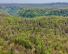 280 Peregrine Ridge Road, Lansing, West Virginia 25938, ,Lots/land,For Sale,Peregrine Ridge,10164440