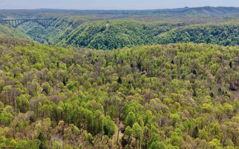 280 Peregrine Ridge Road, Lansing, West Virginia 25938, ,Lots/land,For Sale,Peregrine Ridge,10164440