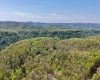 280 Peregrine Ridge Road, Lansing, West Virginia 25938, ,Lots/land,For Sale,Peregrine Ridge,10164440