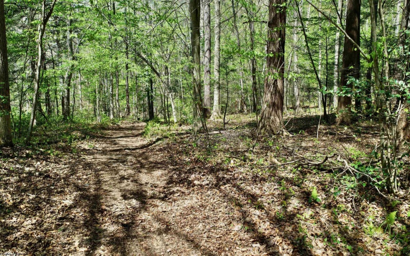 280 Peregrine Ridge Road, Lansing, West Virginia 25938, ,Lots/land,For Sale,Peregrine Ridge,10164440