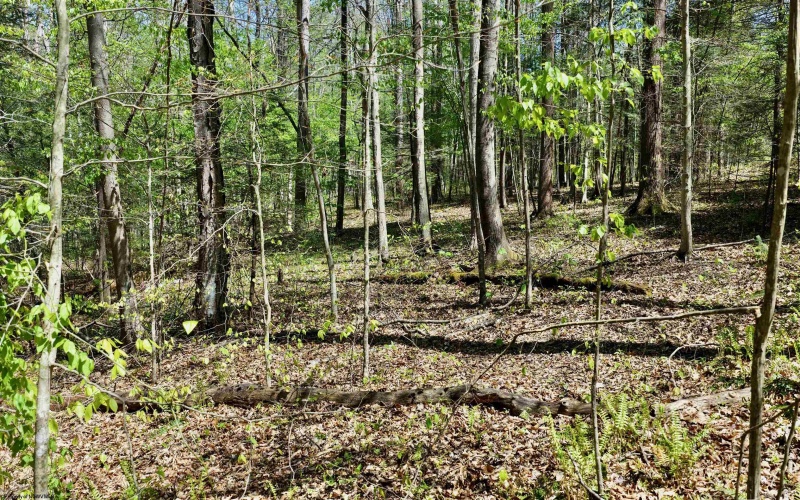 280 Peregrine Ridge Road, Lansing, West Virginia 25938, ,Lots/land,For Sale,Peregrine Ridge,10164440