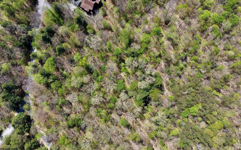 280 Peregrine Ridge Road, Lansing, West Virginia 25938, ,Lots/land,For Sale,Peregrine Ridge,10164440