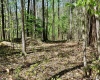 280 Peregrine Ridge Road, Lansing, West Virginia 25938, ,Lots/land,For Sale,Peregrine Ridge,10164440
