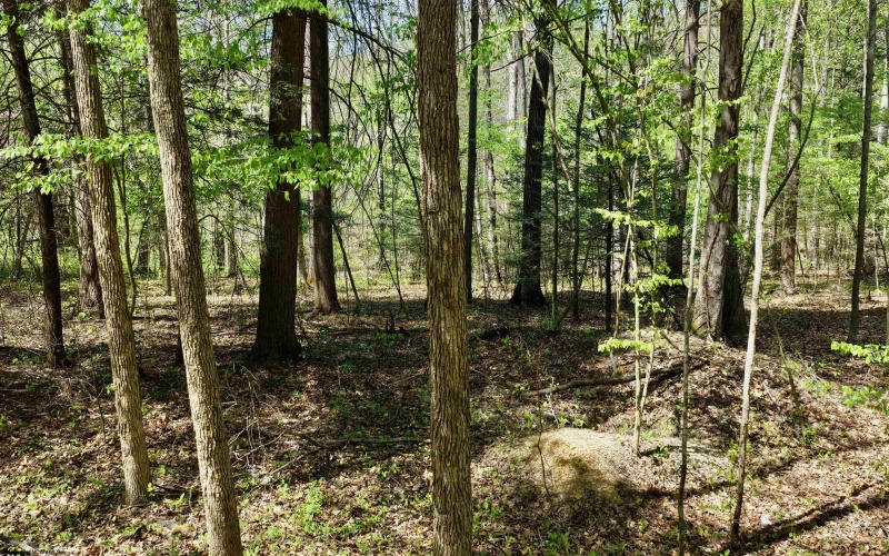 280 Peregrine Ridge Road, Lansing, West Virginia 25938, ,Lots/land,For Sale,Peregrine Ridge,10164440