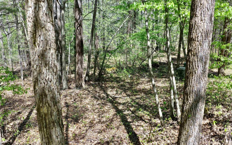 280 Peregrine Ridge Road, Lansing, West Virginia 25938, ,Lots/land,For Sale,Peregrine Ridge,10164440