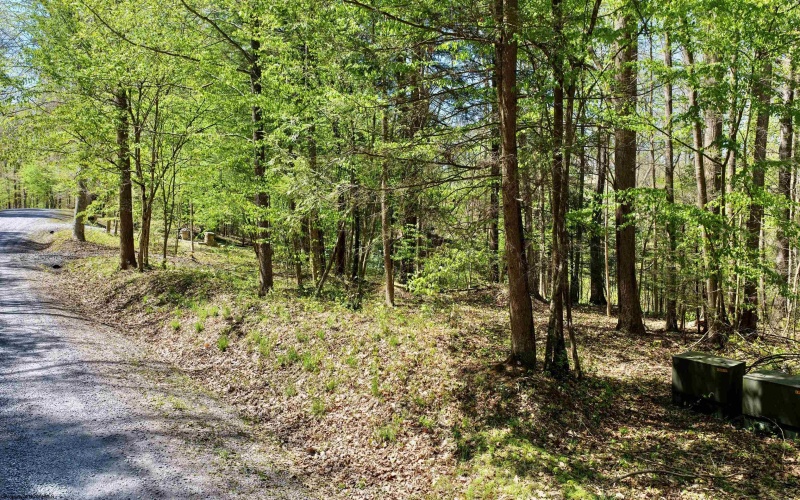 280 Peregrine Ridge Road, Lansing, West Virginia 25938, ,Lots/land,For Sale,Peregrine Ridge,10164440