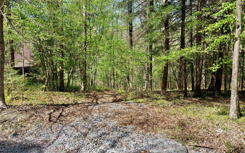 280 Peregrine Ridge Road, Lansing, West Virginia 25938, ,Lots/land,For Sale,Peregrine Ridge,10164440