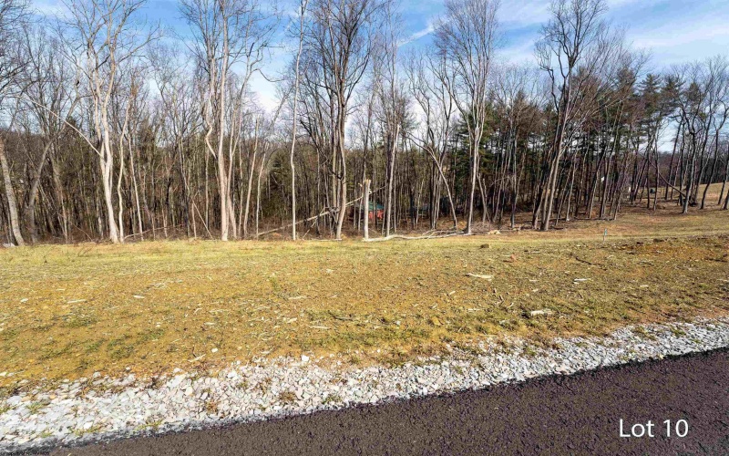 Lot 10 Bo Drive, Morgantown, West Virginia 26508, ,Lots/land,For Sale,Bo,10159201