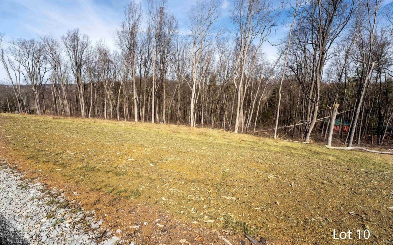 Lot 10 Bo Drive, Morgantown, West Virginia 26508, ,Lots/land,For Sale,Bo,10159201