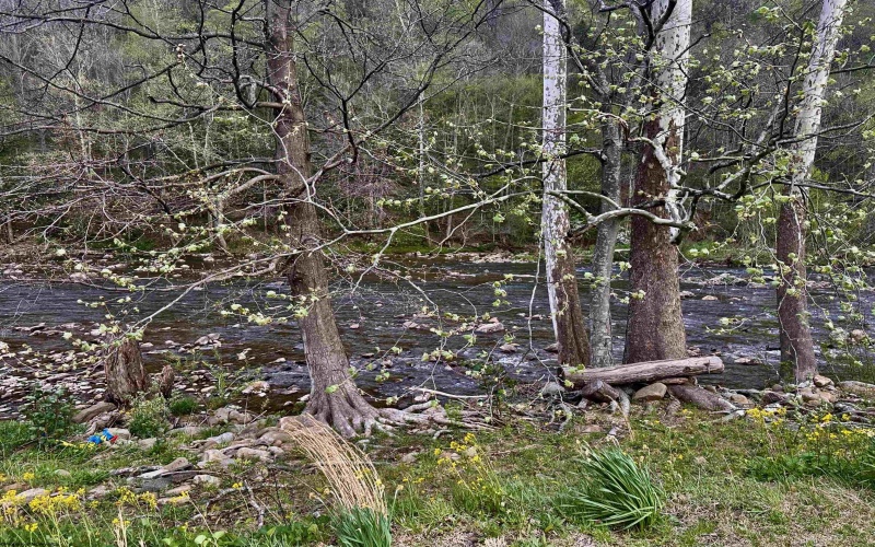 301 Elk River Road, Webster Springs, West Virginia 26288, 3 Bedrooms Bedrooms, 5 Rooms Rooms,1 BathroomBathrooms,Single Family Detached,For Sale,Elk River,10164456