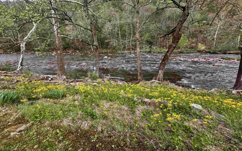 301 Elk River Road, Webster Springs, West Virginia 26288, 3 Bedrooms Bedrooms, 5 Rooms Rooms,1 BathroomBathrooms,Single Family Detached,For Sale,Elk River,10164456