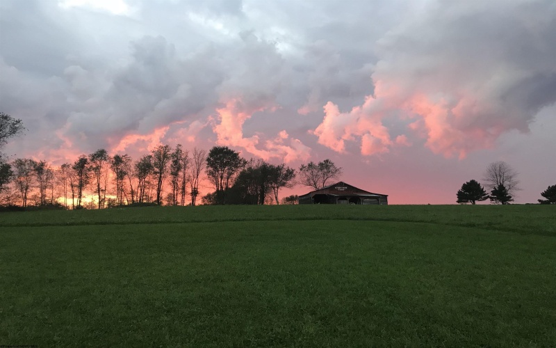 2393 Stony Run Road, Independence, West Virginia 26374, 4 Bedrooms Bedrooms, 15 Rooms Rooms,3 BathroomsBathrooms,Single Family Detached,For Sale,Stony Run,10164463