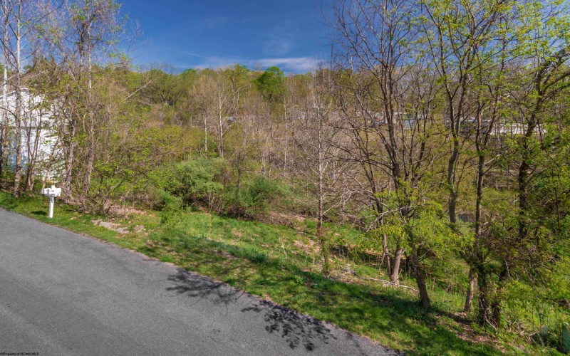 78 Antietam Drive, Morgantown, West Virginia 26508, ,Lots/land,For Sale,Antietam,10164471