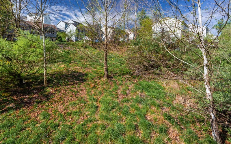 78 Antietam Drive, Morgantown, West Virginia 26508, ,Lots/land,For Sale,Antietam,10164471