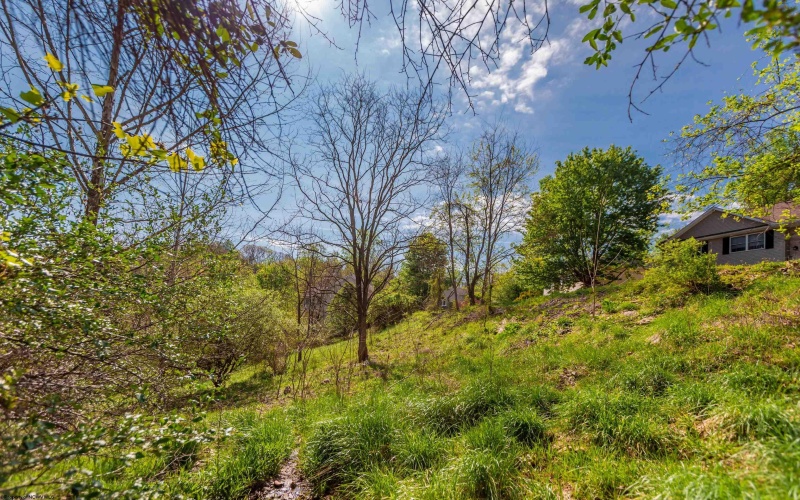 78 Antietam Drive, Morgantown, West Virginia 26508, ,Lots/land,For Sale,Antietam,10164471