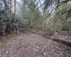 Lot 80 Gondola Court, Davis, West Virginia 26260-0000, ,Lots/land,For Sale,Gondola,10164470