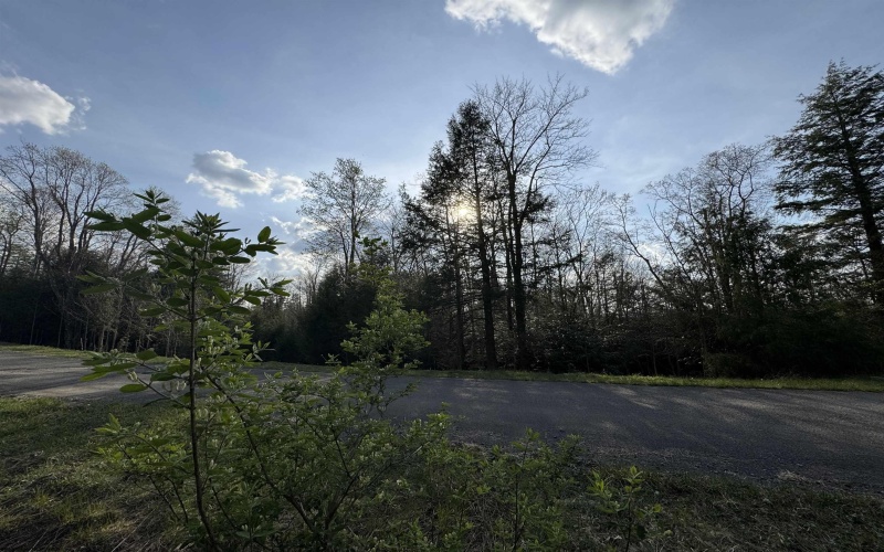 Lot 80 Gondola Court, Davis, West Virginia 26260-0000, ,Lots/land,For Sale,Gondola,10164470