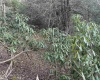 Lot 80 Gondola Court, Davis, West Virginia 26260-0000, ,Lots/land,For Sale,Gondola,10164470