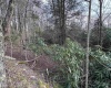 Lot 80 Gondola Court, Davis, West Virginia 26260-0000, ,Lots/land,For Sale,Gondola,10164470