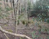 Lot 80 Gondola Court, Davis, West Virginia 26260-0000, ,Lots/land,For Sale,Gondola,10164470