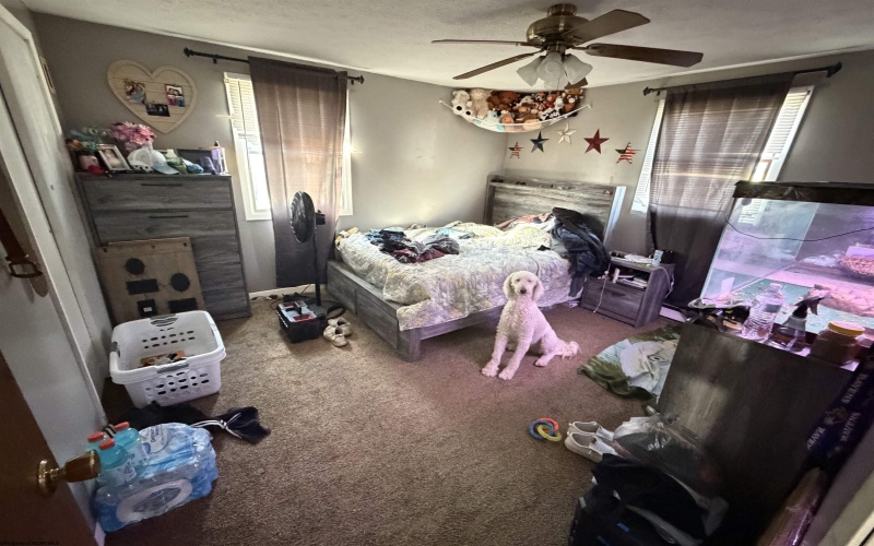 49 Foster Street, Buckhannon, West Virginia 26201, 3 Bedrooms Bedrooms, 7 Rooms Rooms,1 BathroomBathrooms,Single Family Detached,For Sale,Foster,10164474