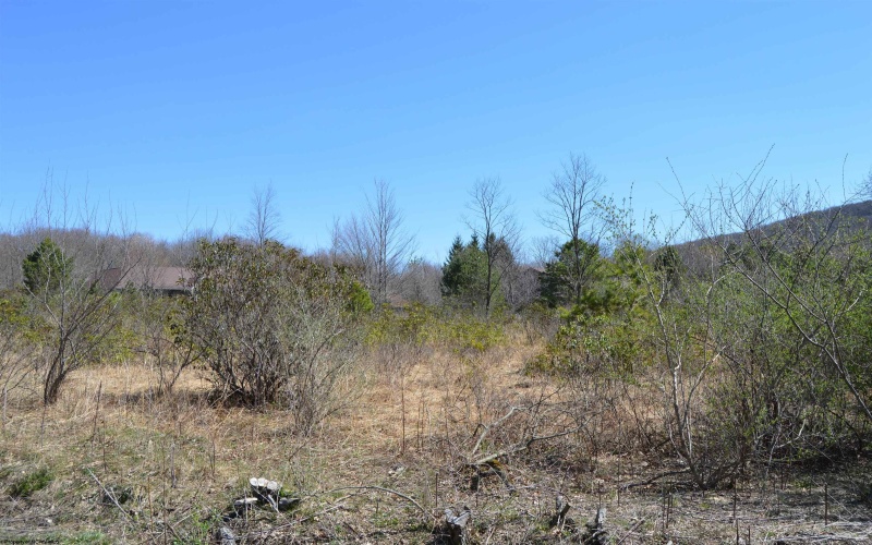 Lots 1 & 2 Grosbeak Drive, Terra Alta, West Virginia 26764, ,Lots/land,For Sale,Grosbeak,10164480