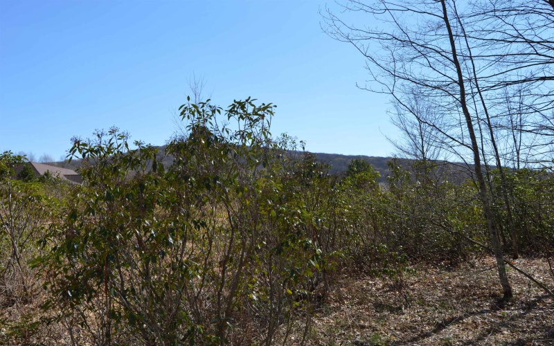 Lots 1 & 2 Grosbeak Drive, Terra Alta, West Virginia 26764, ,Lots/land,For Sale,Grosbeak,10164480