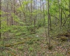 0 Flat Run Road, Ireland, West Virginia 26376, ,Lots/land,For Sale,Flat Run,10164475