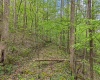 0 Flat Run Road, Ireland, West Virginia 26376, ,Lots/land,For Sale,Flat Run,10164475