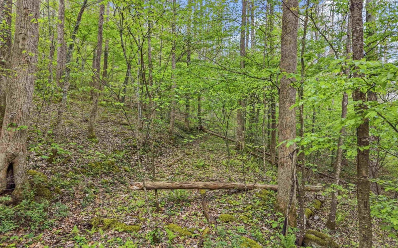 0 Flat Run Road, Ireland, West Virginia 26376, ,Lots/land,For Sale,Flat Run,10164475