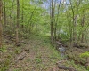0 Flat Run Road, Ireland, West Virginia 26376, ,Lots/land,For Sale,Flat Run,10164475