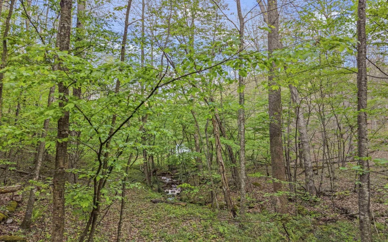 0 Flat Run Road, Ireland, West Virginia 26376, ,Lots/land,For Sale,Flat Run,10164475
