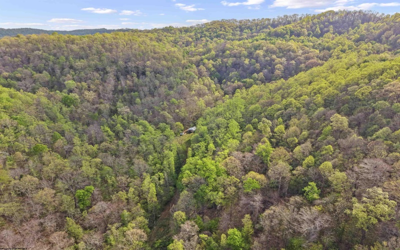 0 Flat Run Road, Ireland, West Virginia 26376, ,Lots/land,For Sale,Flat Run,10164475