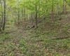 0 Flat Run Road, Ireland, West Virginia 26376, ,Lots/land,For Sale,Flat Run,10164475