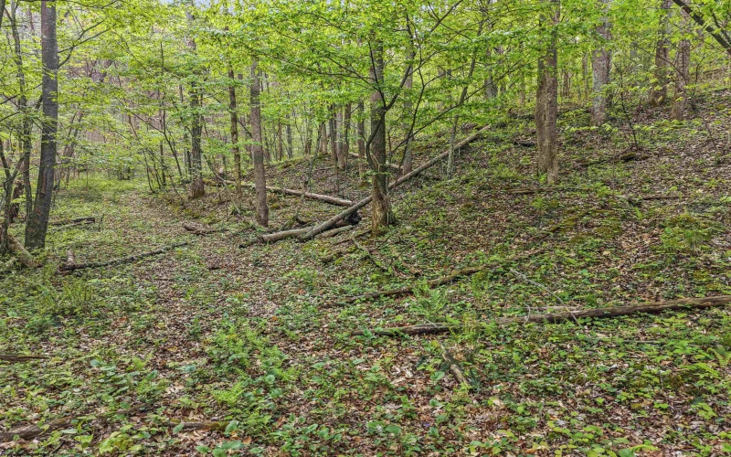 0 Flat Run Road, Ireland, West Virginia 26376, ,Lots/land,For Sale,Flat Run,10164475