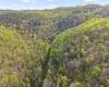 0 Flat Run Road, Ireland, West Virginia 26376, ,Lots/land,For Sale,Flat Run,10164475