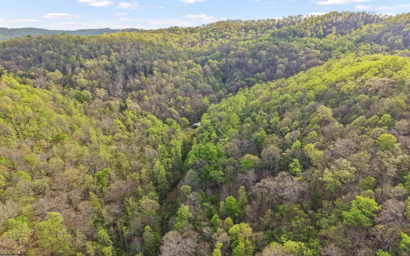 0 Flat Run Road, Ireland, West Virginia 26376, ,Lots/land,For Sale,Flat Run,10164475