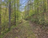 0 Flat Run Road, Ireland, West Virginia 26376, ,Lots/land,For Sale,Flat Run,10164475