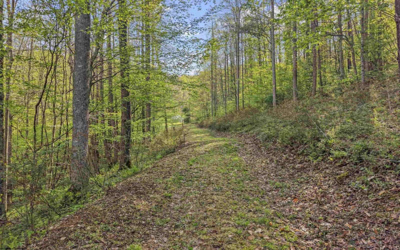 0 Flat Run Road, Ireland, West Virginia 26376, ,Lots/land,For Sale,Flat Run,10164475