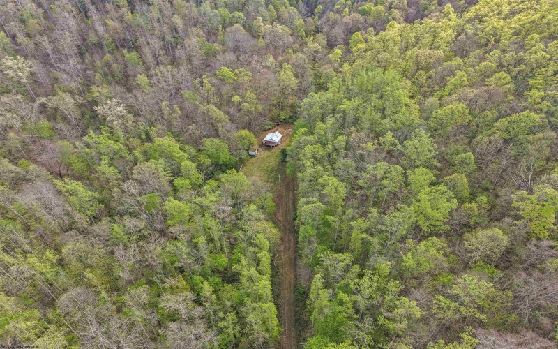 0 Flat Run Road, Ireland, West Virginia 26376, ,Lots/land,For Sale,Flat Run,10164475