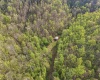 0 Flat Run Road, Ireland, West Virginia 26376, ,Lots/land,For Sale,Flat Run,10164475