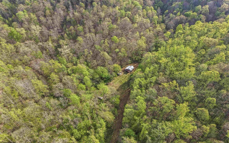 0 Flat Run Road, Ireland, West Virginia 26376, ,Lots/land,For Sale,Flat Run,10164475