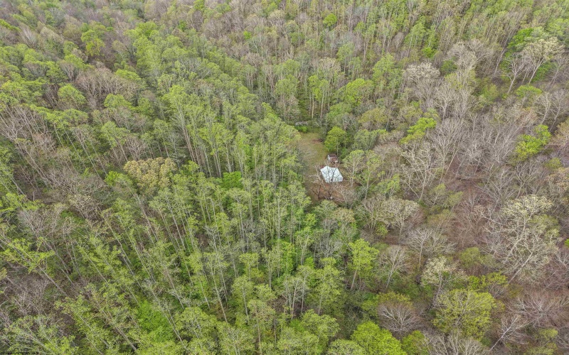 0 Flat Run Road, Ireland, West Virginia 26376, ,Lots/land,For Sale,Flat Run,10164475