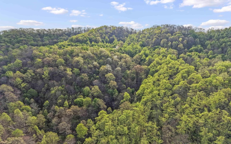 0 Flat Run Road, Ireland, West Virginia 26376, ,Lots/land,For Sale,Flat Run,10164475