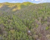 0 Flat Run Road, Ireland, West Virginia 26376, ,Lots/land,For Sale,Flat Run,10164475