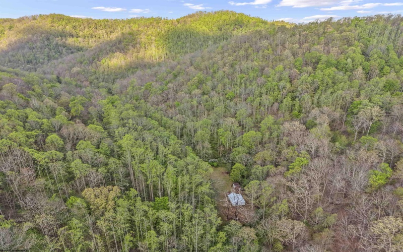 0 Flat Run Road, Ireland, West Virginia 26376, ,Lots/land,For Sale,Flat Run,10164475