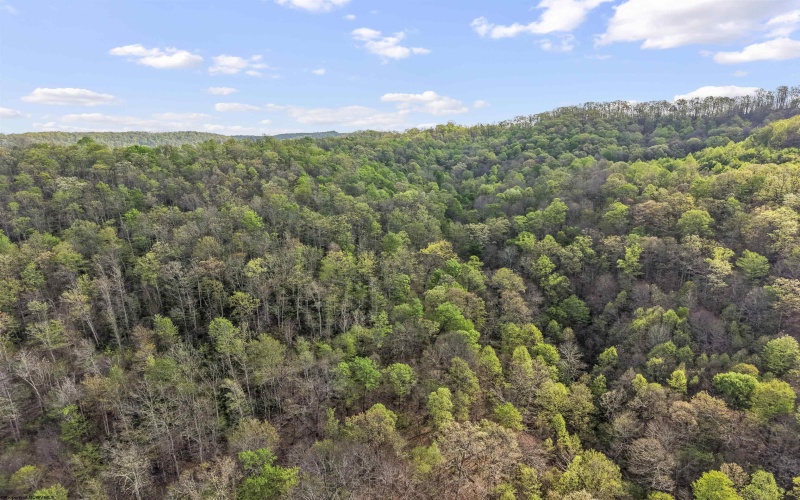 0 Flat Run Road, Ireland, West Virginia 26376, ,Lots/land,For Sale,Flat Run,10164475