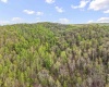 0 Flat Run Road, Ireland, West Virginia 26376, ,Lots/land,For Sale,Flat Run,10164475