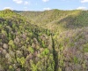 0 Flat Run Road, Ireland, West Virginia 26376, ,Lots/land,For Sale,Flat Run,10164475